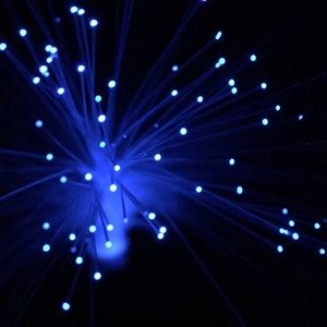 Meet your Posher, Isabella